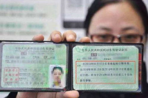 考汽车证多少题